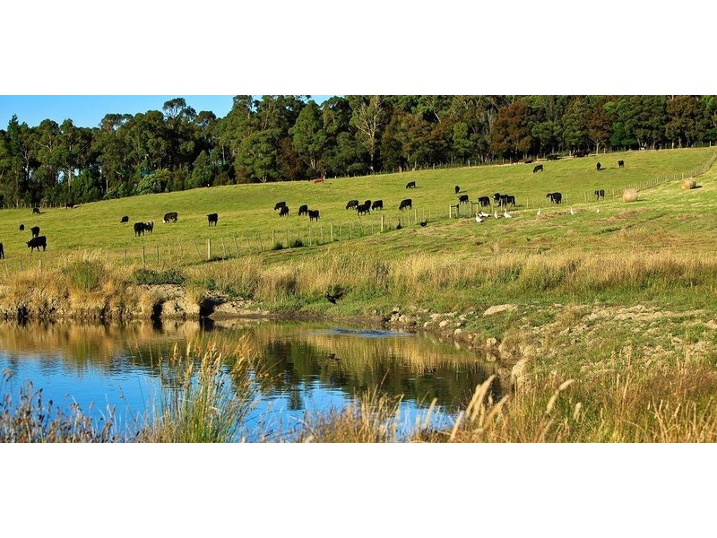 265 Tarleton Road, Tarleton, Spreyton TAS 7310