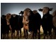 265 Tarleton Road, Tarleton, Spreyton TAS 7310