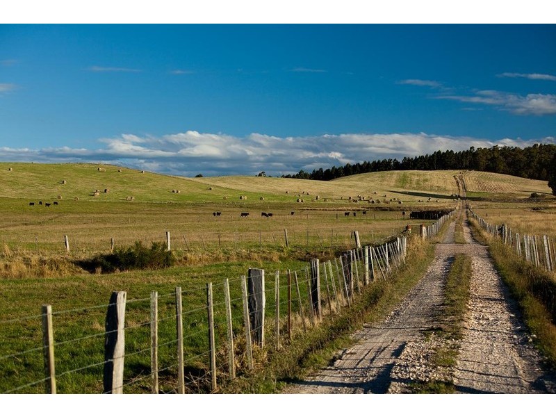 265 Tarleton Road, Tarleton, Spreyton TAS 7310