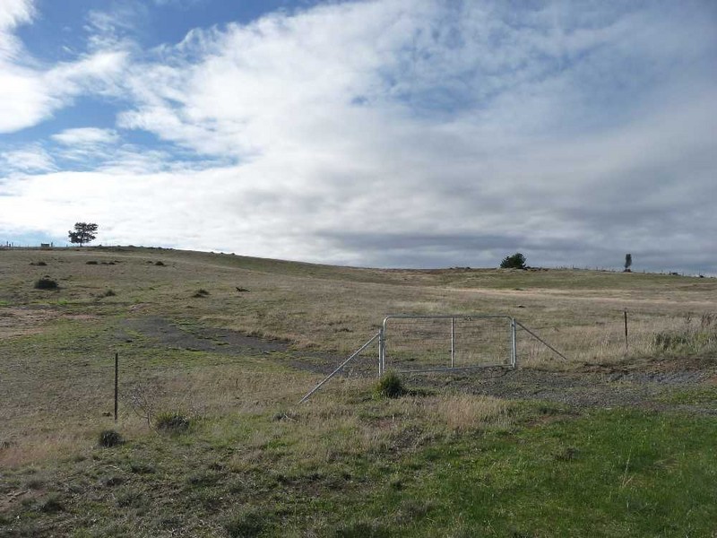 Lots 3 and 4 Park and Wellington Street, Ross TAS 7209