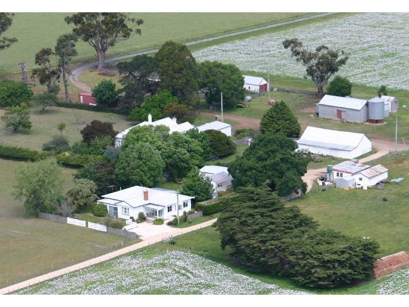 241 Elphinstone Road, Cressy TAS 7302