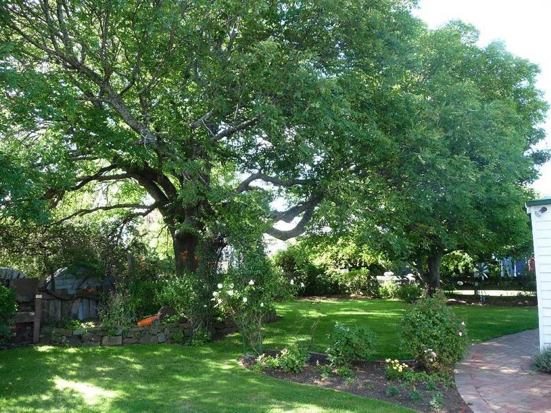 241 Elphinstone Road, Cressy TAS 7302