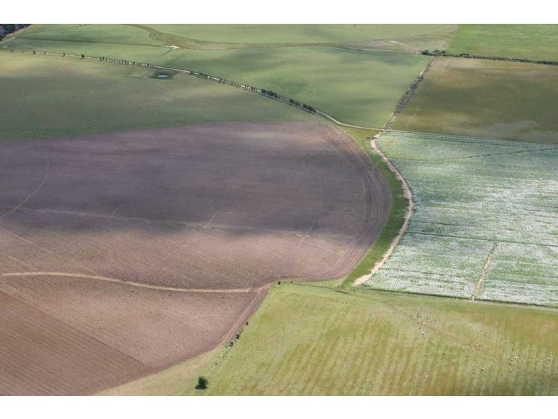 241 Elphinstone Road, Cressy TAS 7302