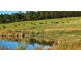 265 Tarleton Road, Tarleton, Spreyton TAS 7310