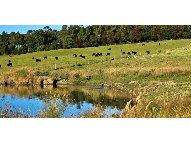 265 Tarleton Road, Tarleton, Spreyton TAS 7310