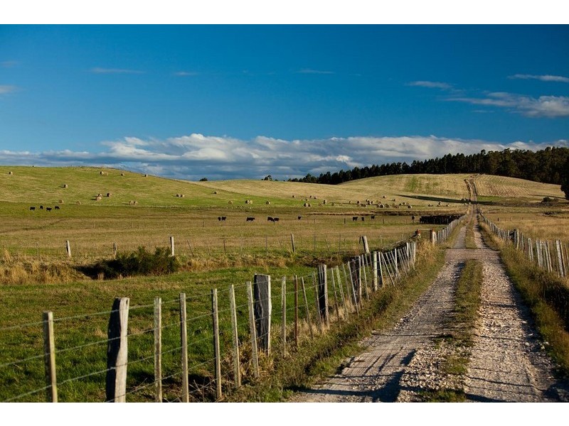 265 Tarleton Road, Tarleton, Spreyton TAS 7310