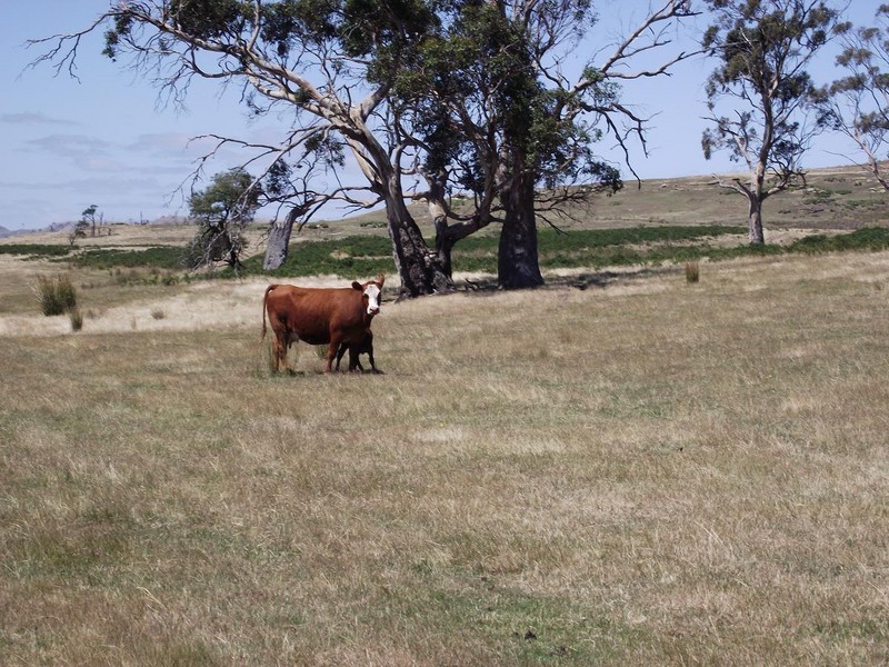 44 Merrivale Road, Lower Marshes TAS 7030