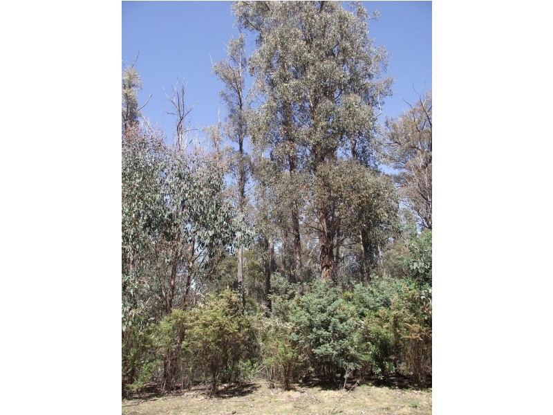 44 Merrivale Road, Lower Marshes TAS 7030