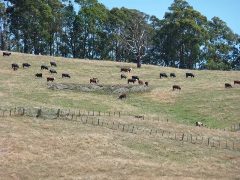 45 Collins Road and 76 Windsors Road, Karoola TAS 7267