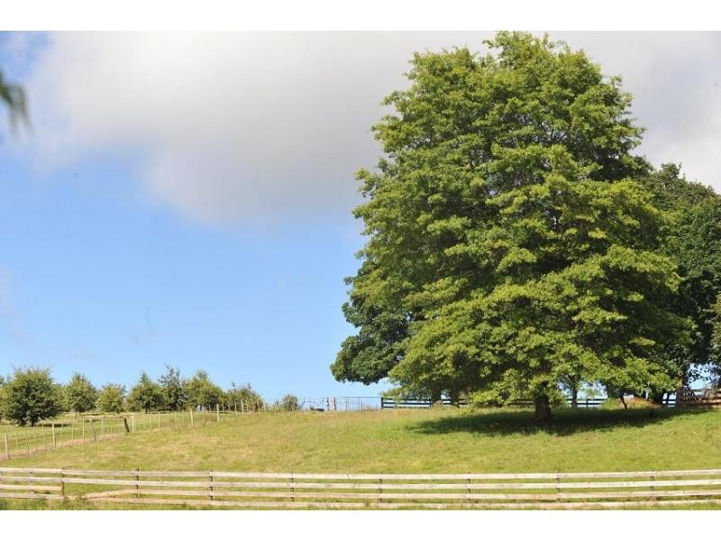 615 Mole Creek Road, Deloraine TAS 7304