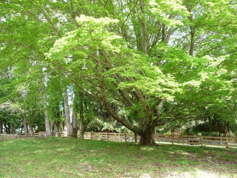 615 Mole Creek Road, Deloraine TAS 7304