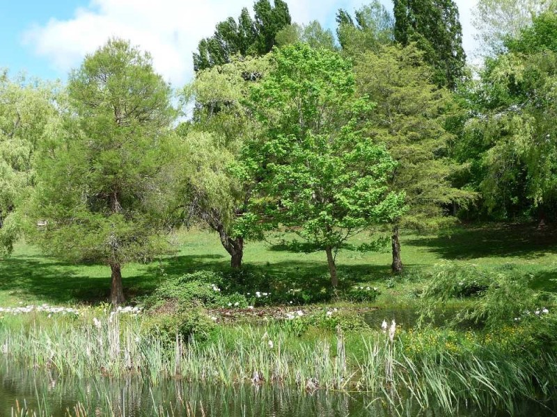 615 Mole Creek Road, Deloraine TAS 7304