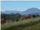 615 Mole Creek Road, Deloraine TAS 7304