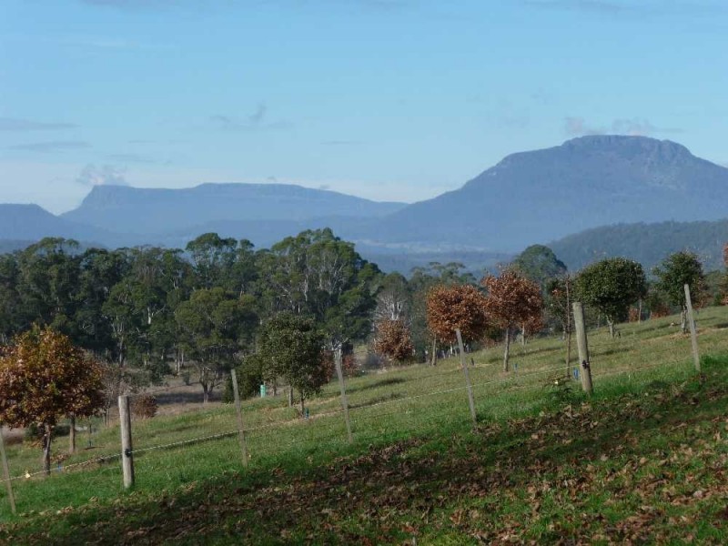 615 Mole Creek Road, Deloraine TAS 7304