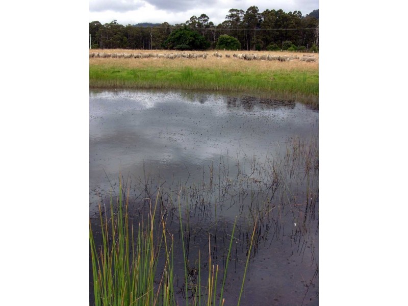 . Nubeena Road, Koonya TAS 7187