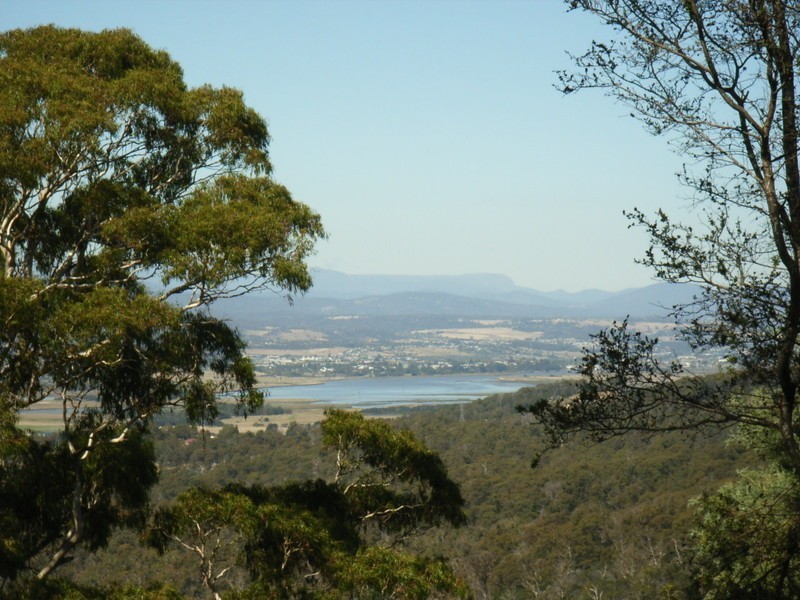 Grindelwald TAS 7277