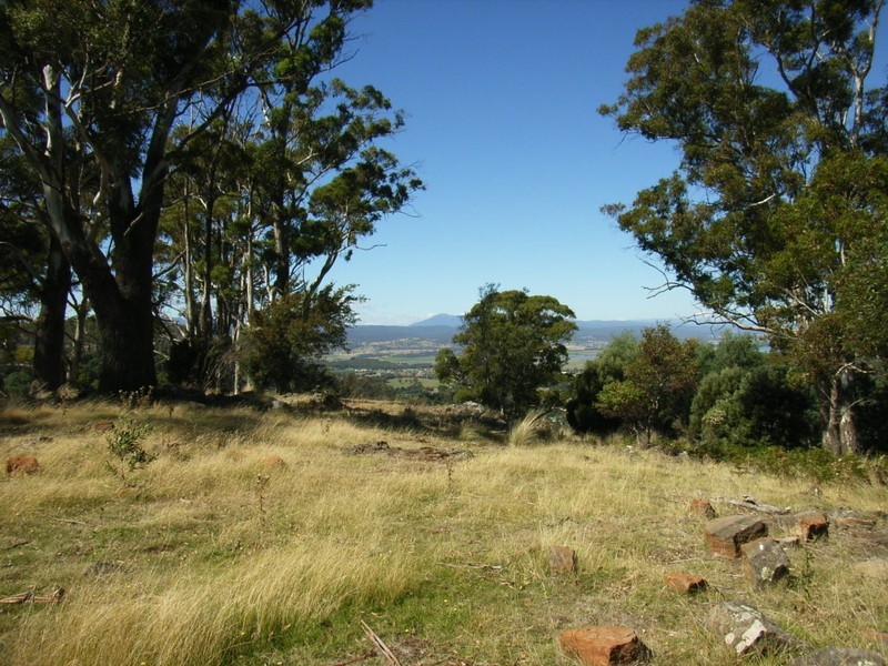 Grindelwald TAS 7277