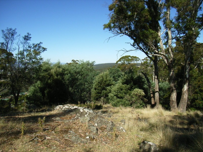 Grindelwald TAS 7277