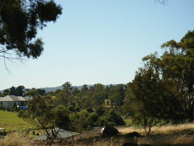 Grindelwald TAS 7277