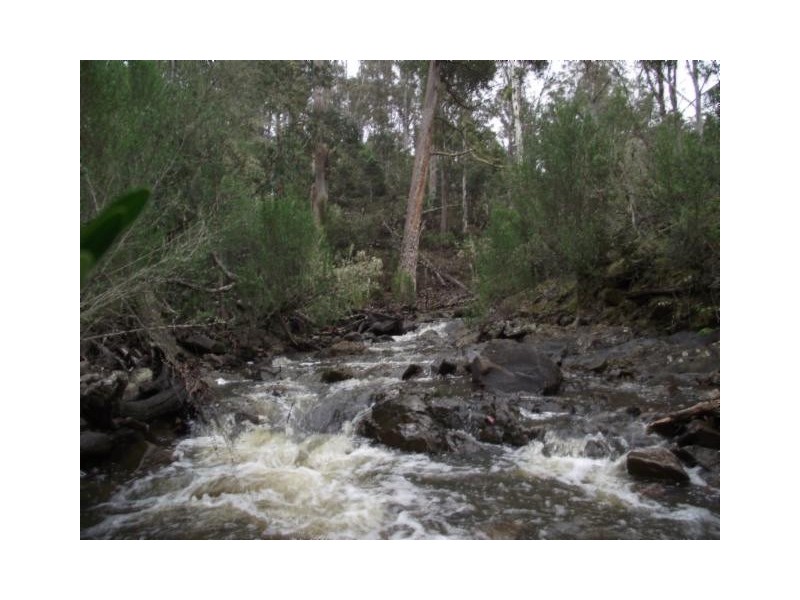 Merrivale Road, Lower Marshes TAS 7030