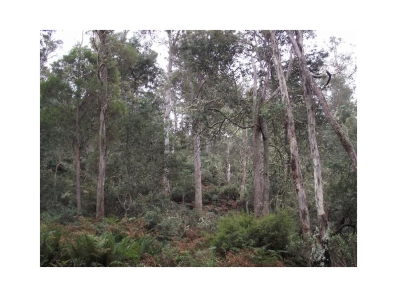 Merrivale Road, Lower Marshes TAS 7030