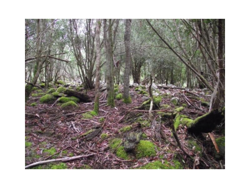 Merrivale Road, Lower Marshes TAS 7030