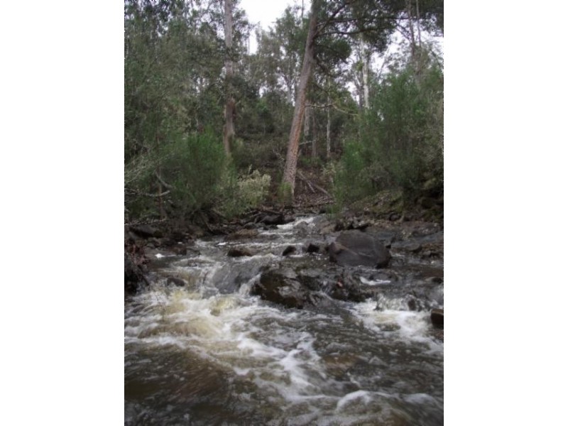 Merrivale Road, Lower Marshes TAS 7030