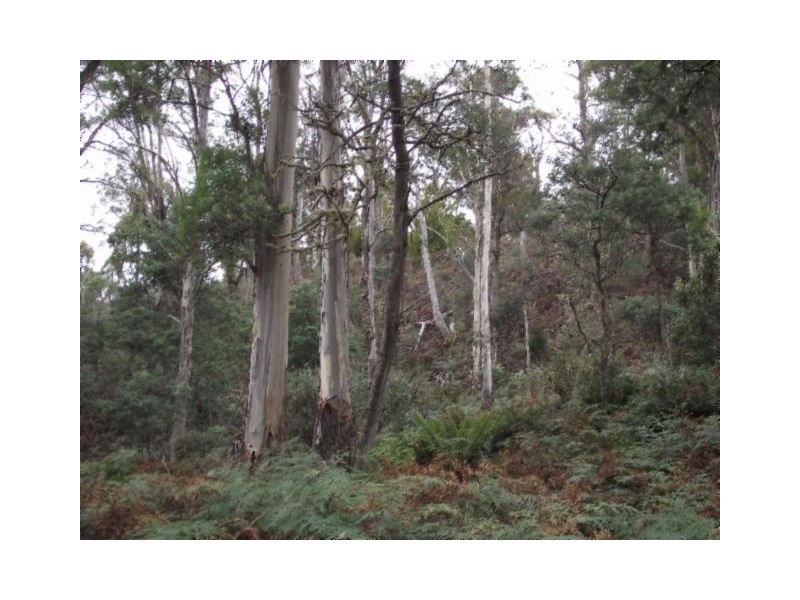 Merrivale Road, Lower Marshes TAS 7030