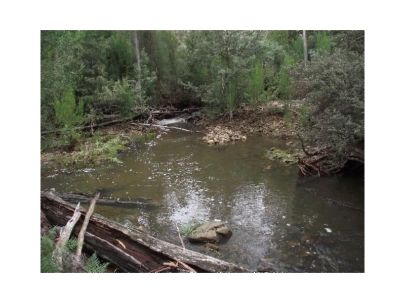 Merrivale Road, Lower Marshes TAS 7030