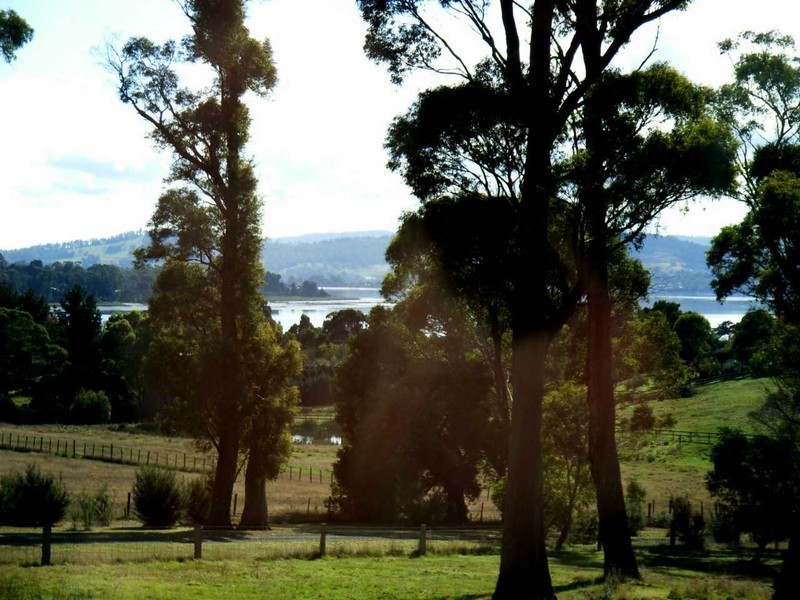 717 Windermere Road, Windermere TAS 7252