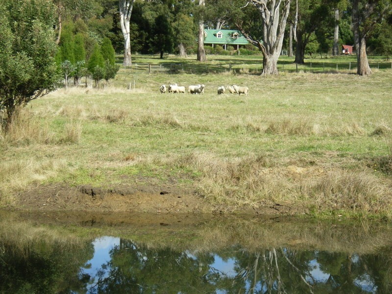 717 Windermere Road, Windermere TAS 7252