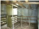 717 Windermere Road, Windermere TAS 7252