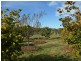 717 Windermere Road, Windermere TAS 7252