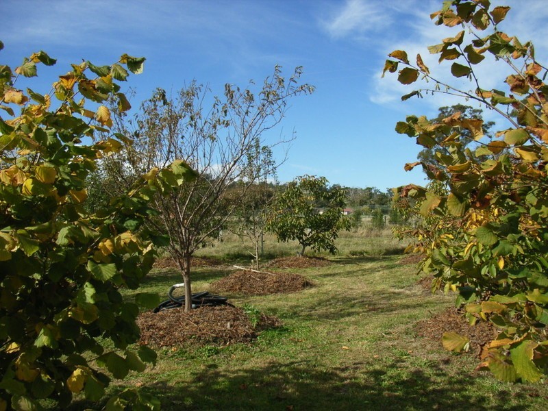 717 Windermere Road, Windermere TAS 7252