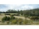 717 Windermere Road, Windermere TAS 7252