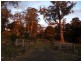 685 Sawpit Hill Road, Blessington TAS 7212