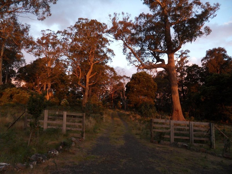 685 Sawpit Hill Road, Blessington TAS 7212