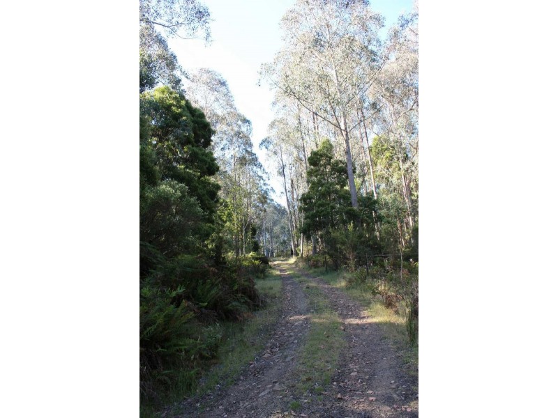 685 Sawpit Hill Road, Blessington TAS 7212
