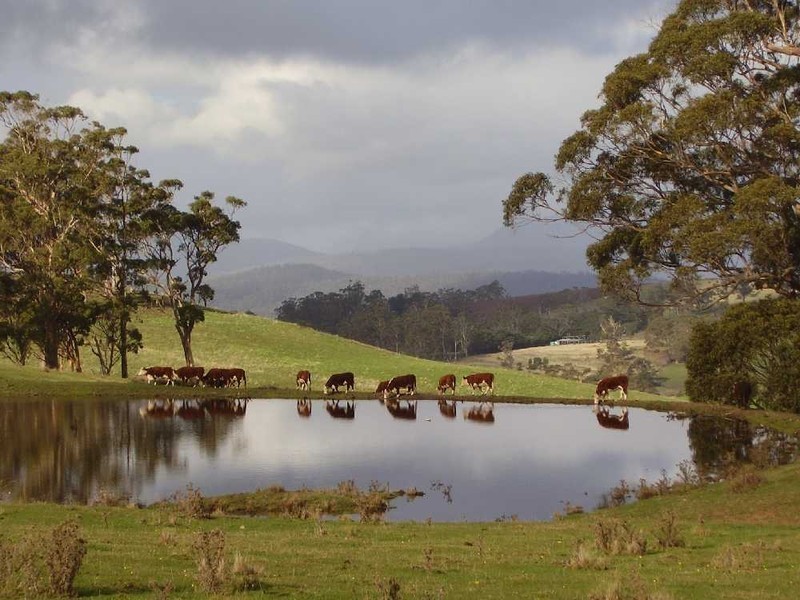 Browns Road, Copping TAS 7174