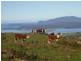 Browns Road, Copping TAS 7174