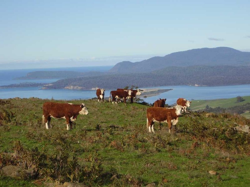 Browns Road, Copping TAS 7174
