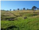 Browns Road, Copping TAS 7174