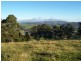 Browns Road, Copping TAS 7174