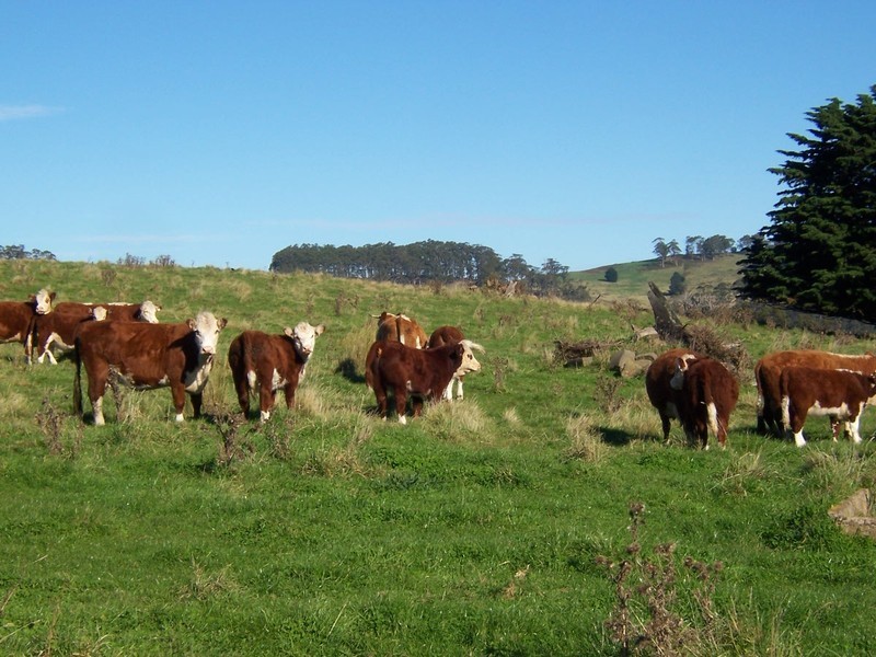 Kellevie Road, Kellevie TAS 7176