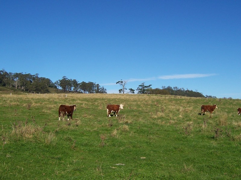 Kellevie Road, Kellevie TAS 7176