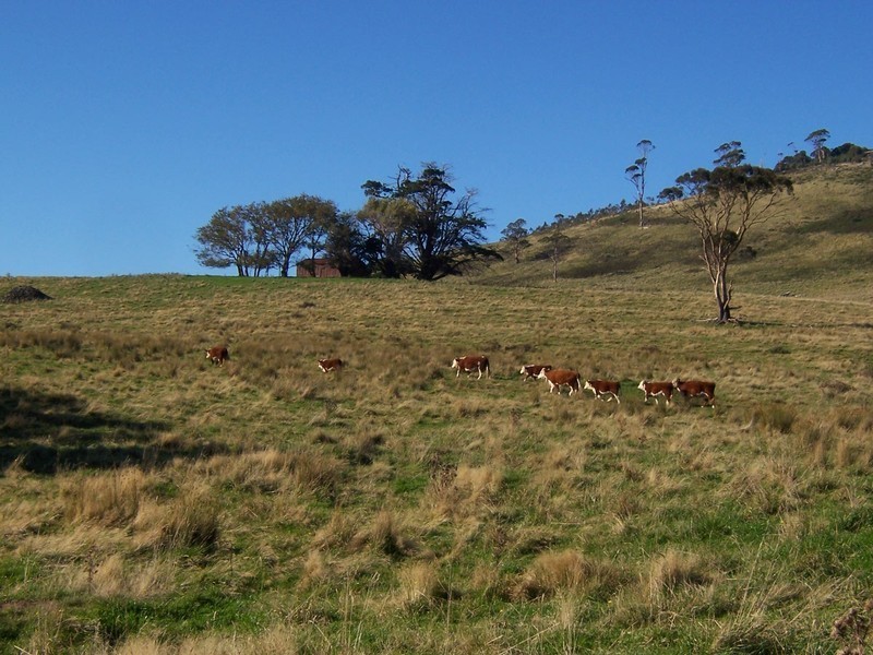 Kellevie Road, Kellevie TAS 7176