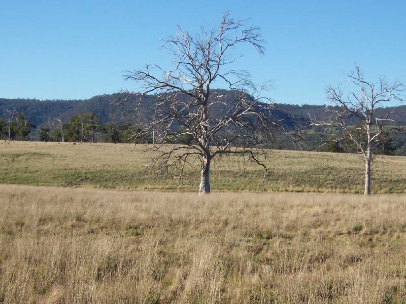 453 Pawleena Road, Sorell TAS 7172