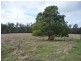 Shaws Road, Bridgenorth TAS 7277