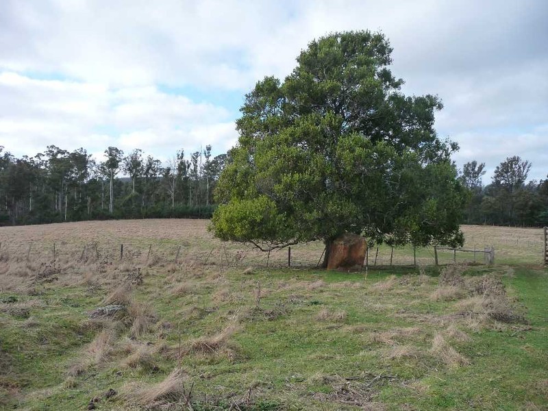 Shaws Road, Bridgenorth TAS 7277
