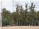 Shaws Road, Bridgenorth TAS 7277